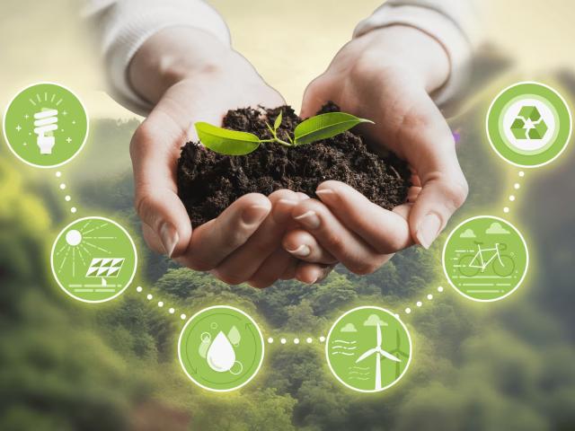 Seminario de sustentabilidad